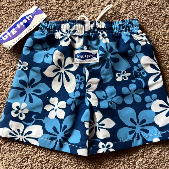 NWT Boys Swim Trunks | BIG FISH by Sweet Potatoes - Picture 2 of 2